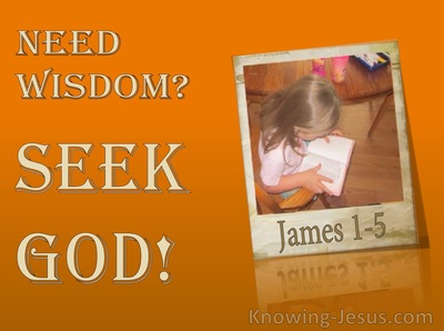 James 1:5 Need Wisdom Seek God (orange)